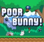 Poor Bunny